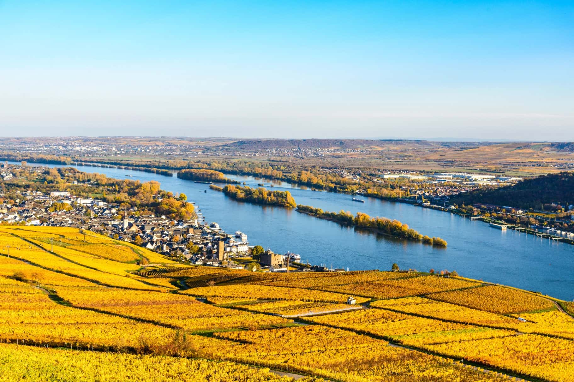 Rheingau Hintergrund - Podcast Rheingau Kompass